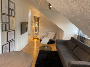 Boutique Ferienwohnungen mit Gartensauna, Nähe Europapark und Straßburg 
